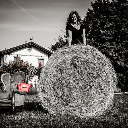 Agriturismo Parco Campofelice Lombardore エクステリア 写真
