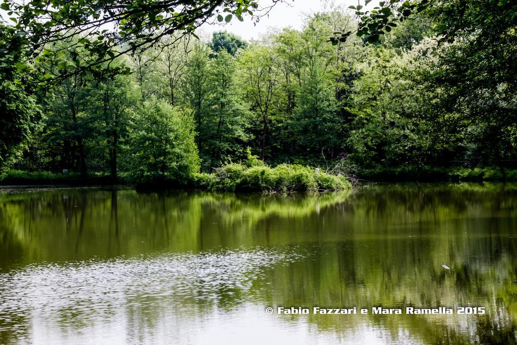 Agriturismo Parco Campofelice Lombardore エクステリア 写真