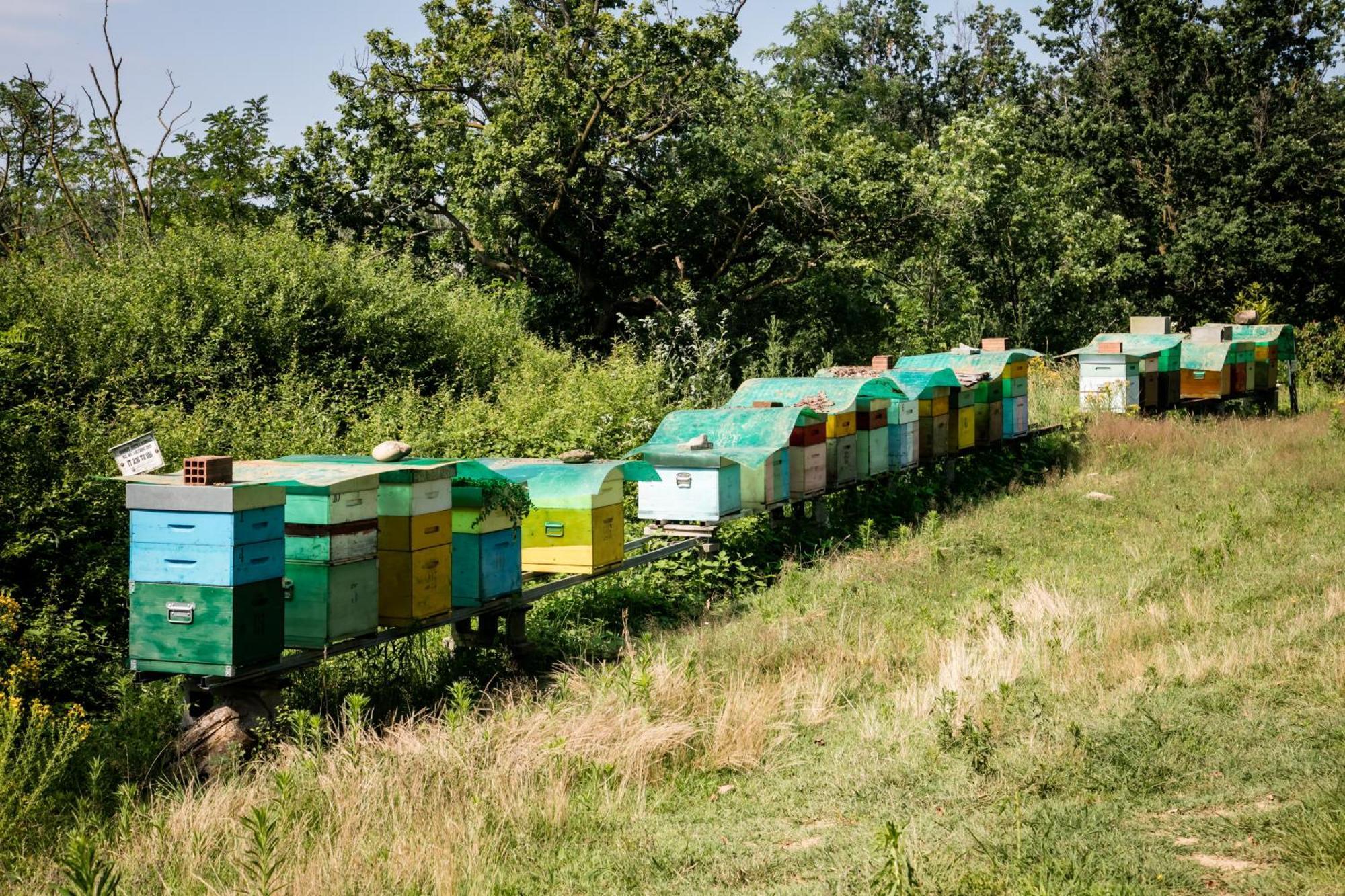 Lombardore Agriturismo Parco Campofelice Bed & Breakfast エクステリア 写真