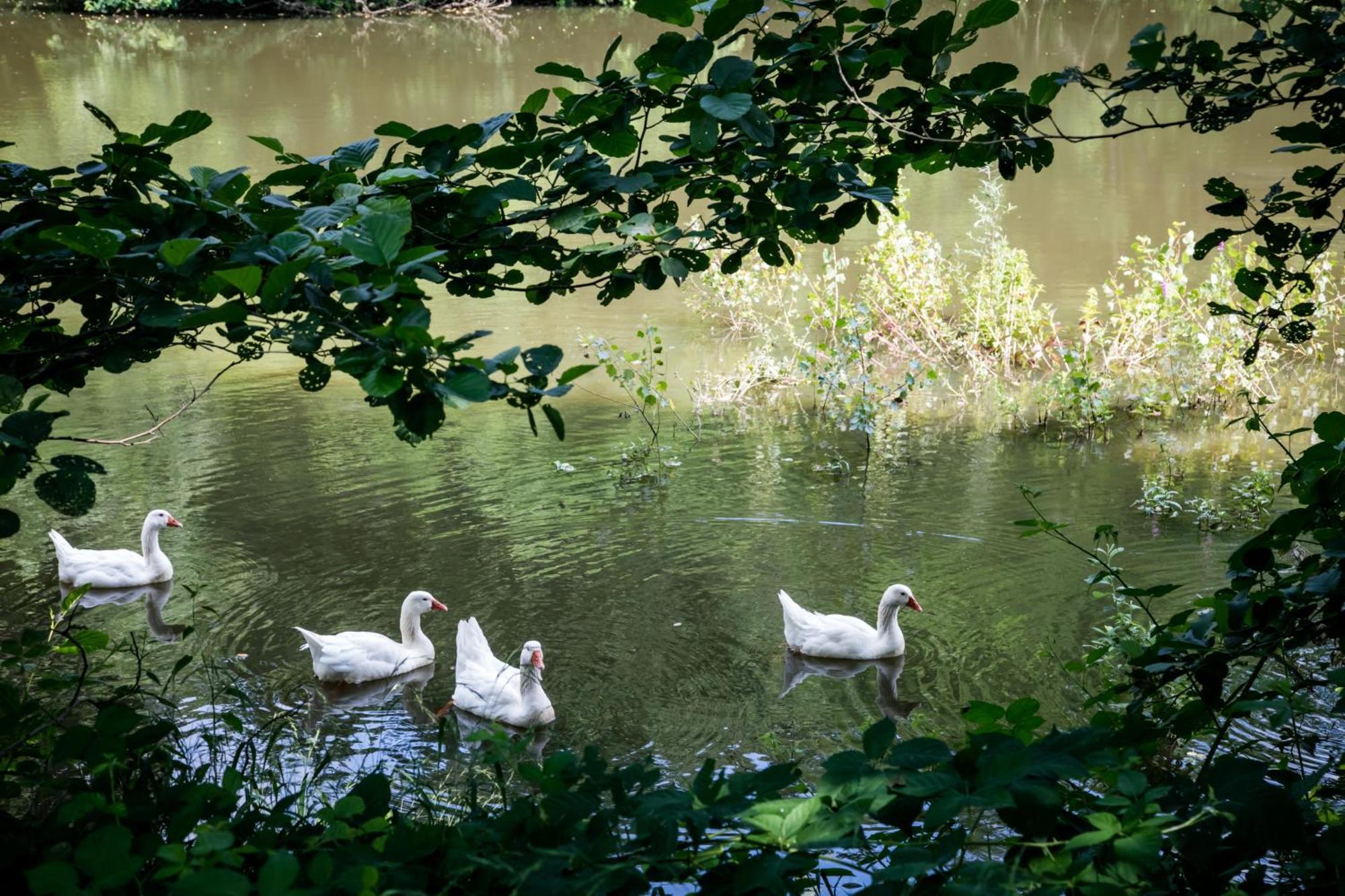 Agriturismo Parco Campofelice Lombardore エクステリア 写真
