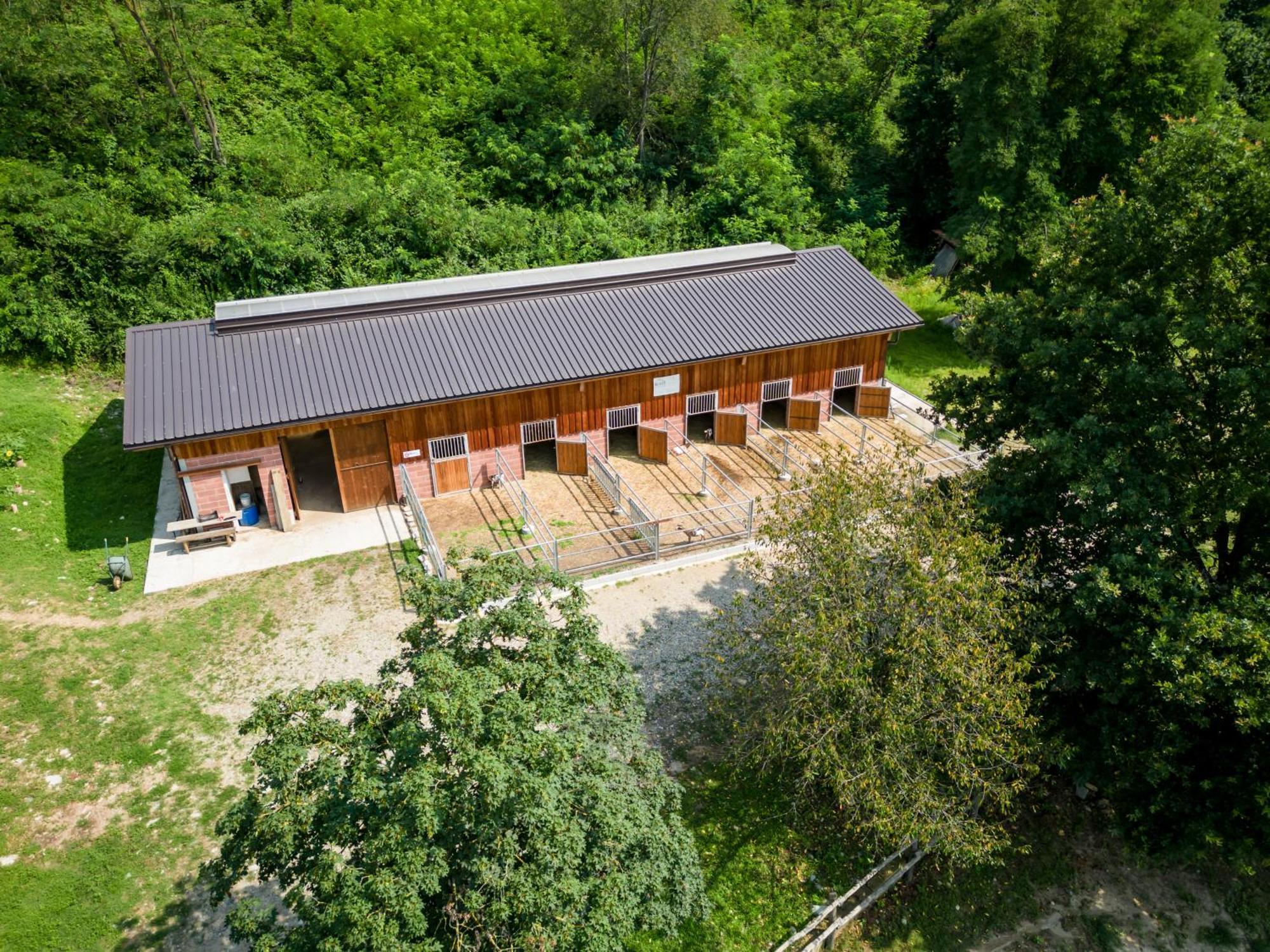 Agriturismo Parco Campofelice Lombardore エクステリア 写真