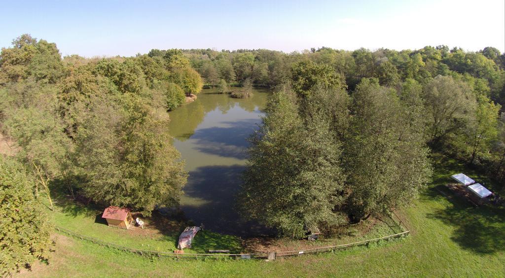 Agriturismo Parco Campofelice Lombardore エクステリア 写真