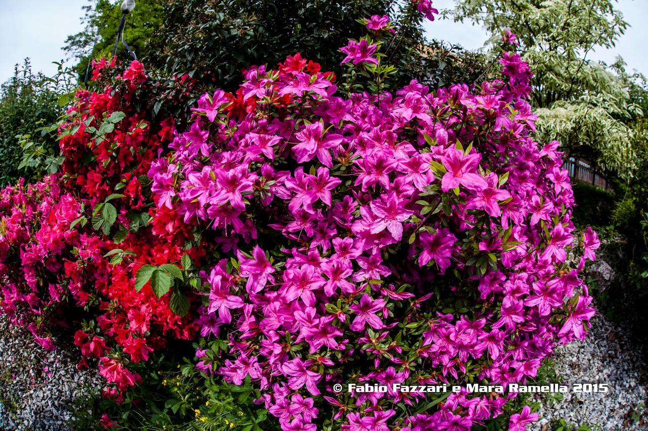 Lombardore Agriturismo Parco Campofelice Bed & Breakfast エクステリア 写真