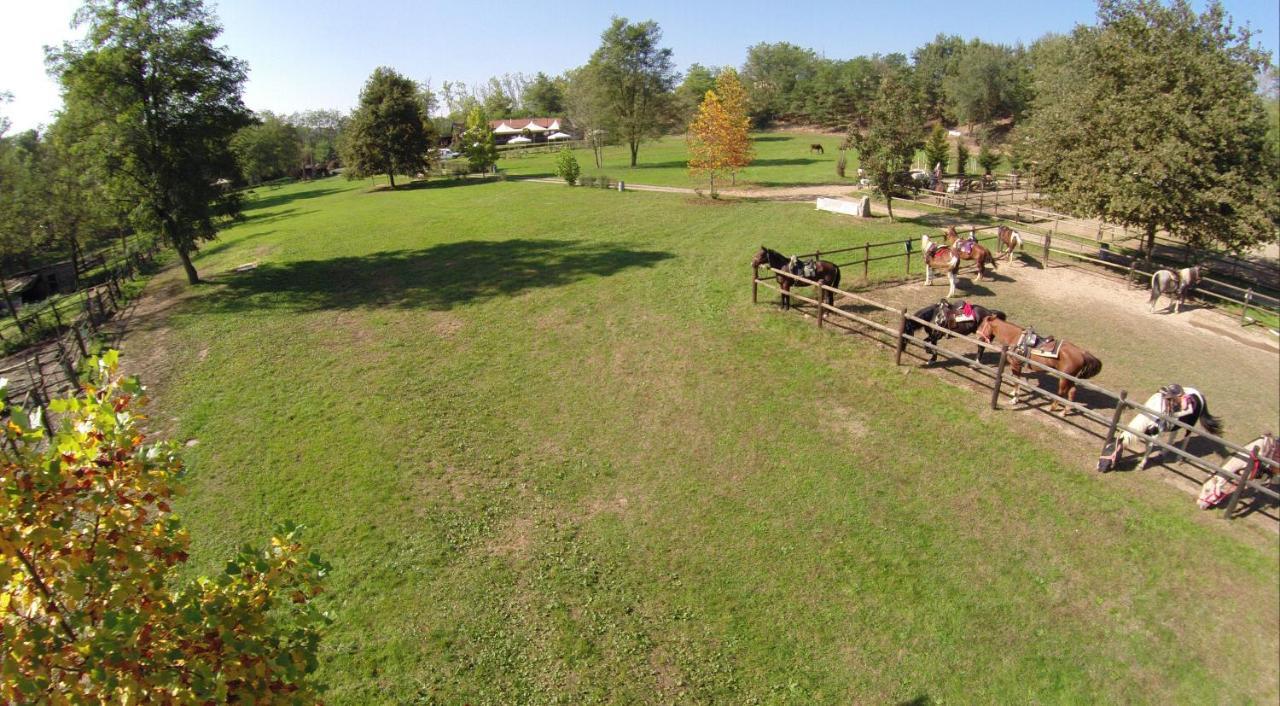 Agriturismo Parco Campofelice Lombardore エクステリア 写真